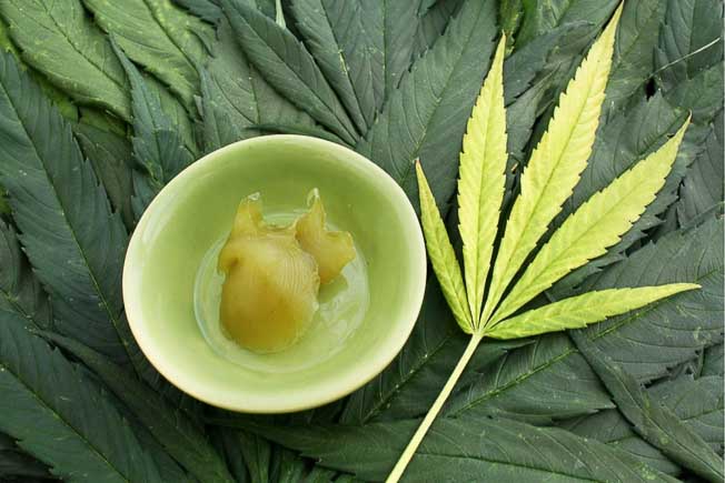 Cannabis leaf and bowl